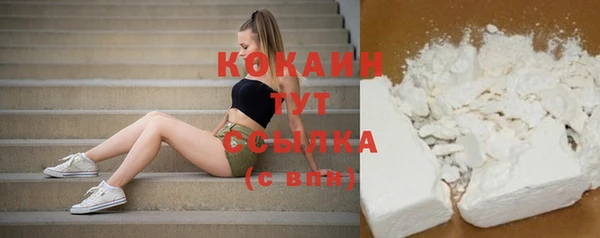 соль курить ск Белокуриха