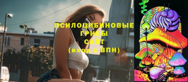 Альфа ПВП Богородицк
