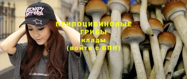 наркотики Богданович
